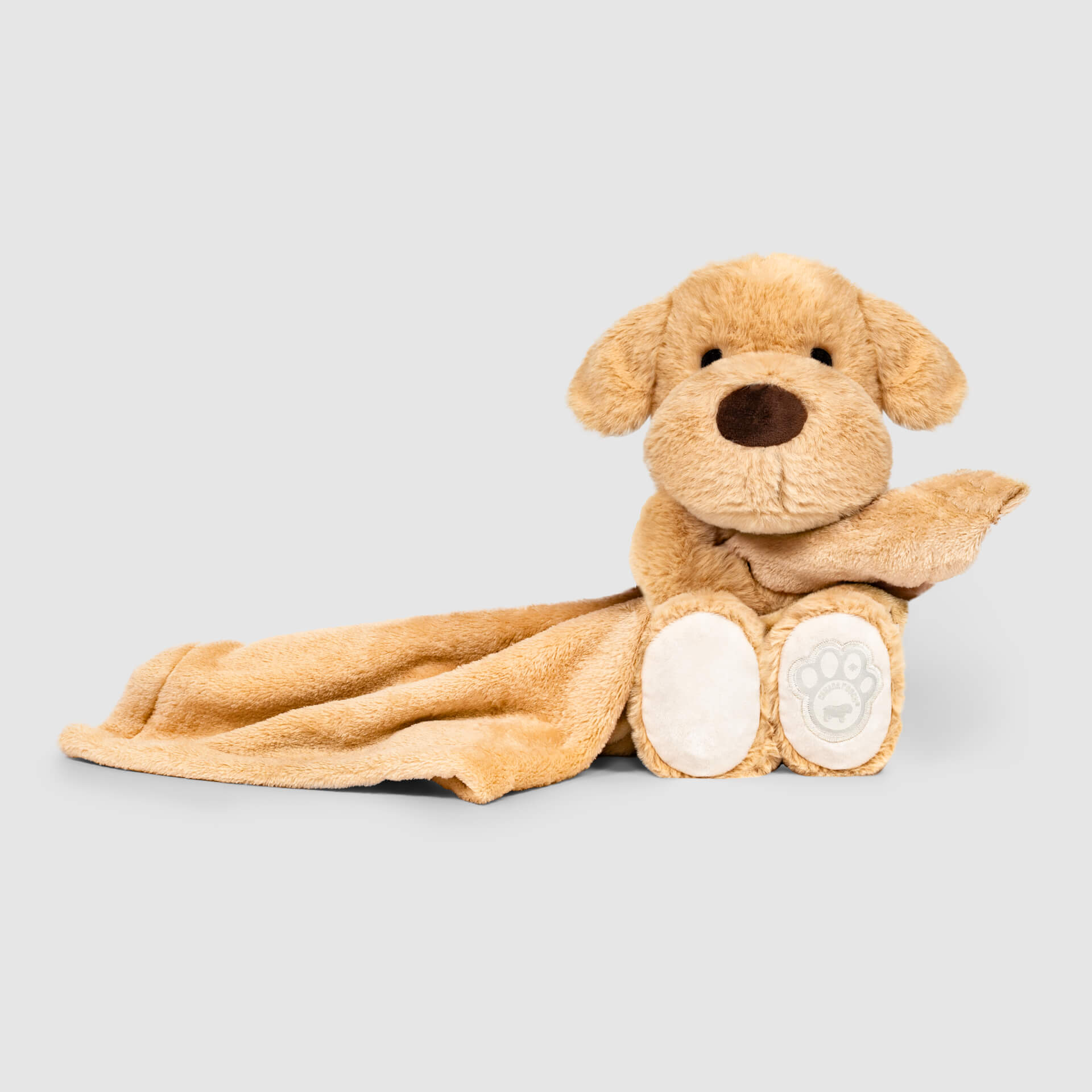 Weighted Calming Toy B9